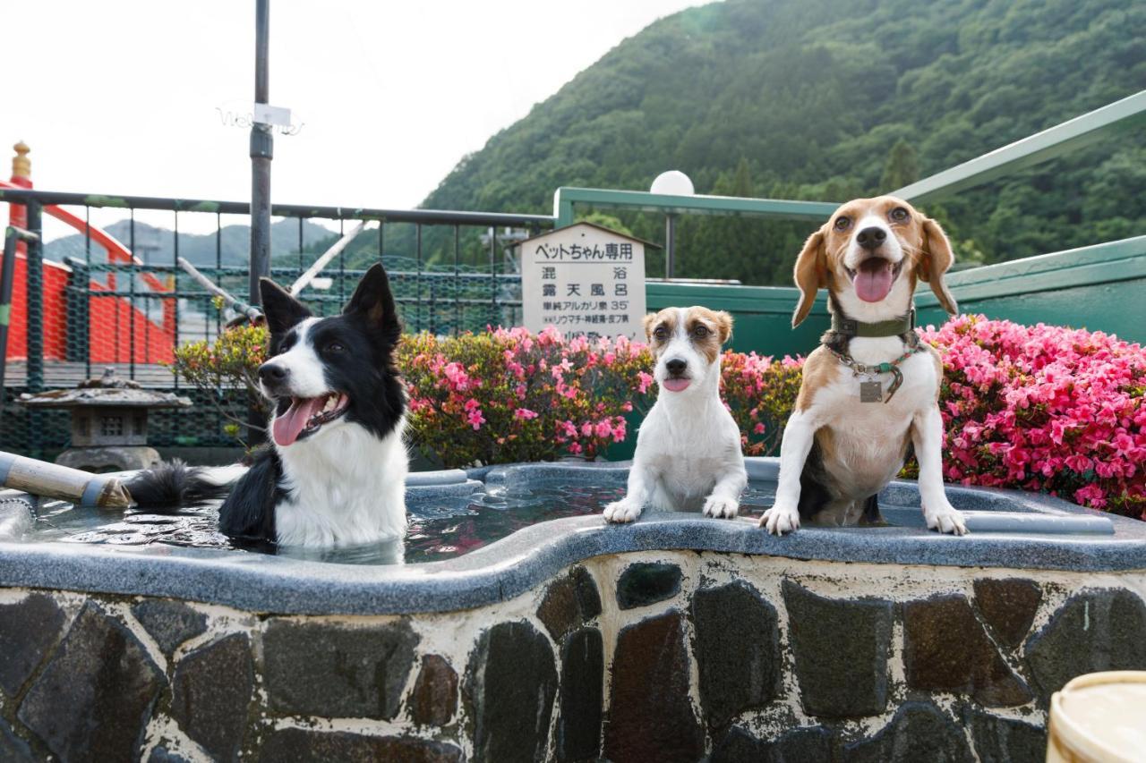 Kinugawa Kokusai Hotel Nikko Ngoại thất bức ảnh
